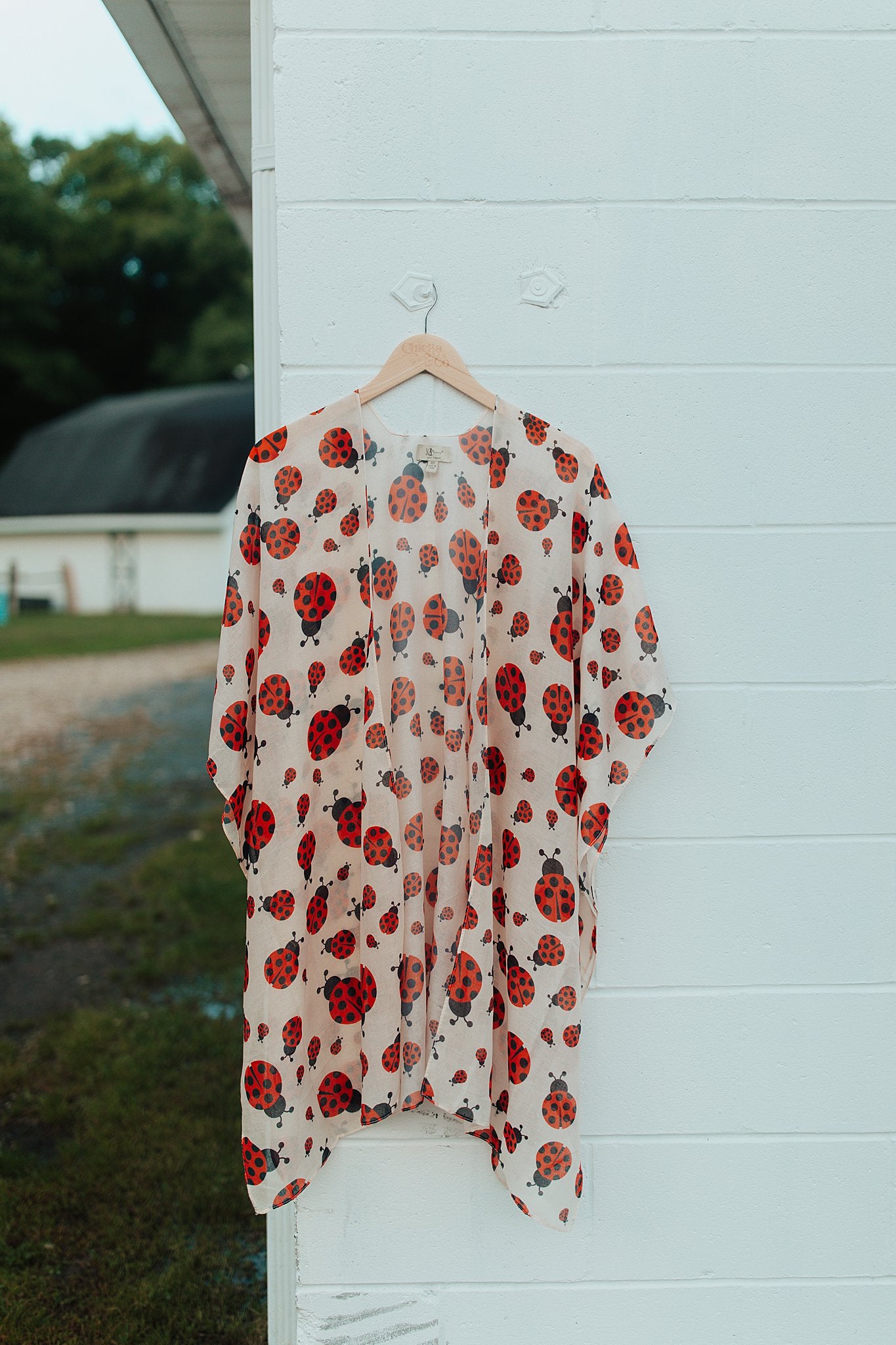 Beige-Red Ladybug Duster