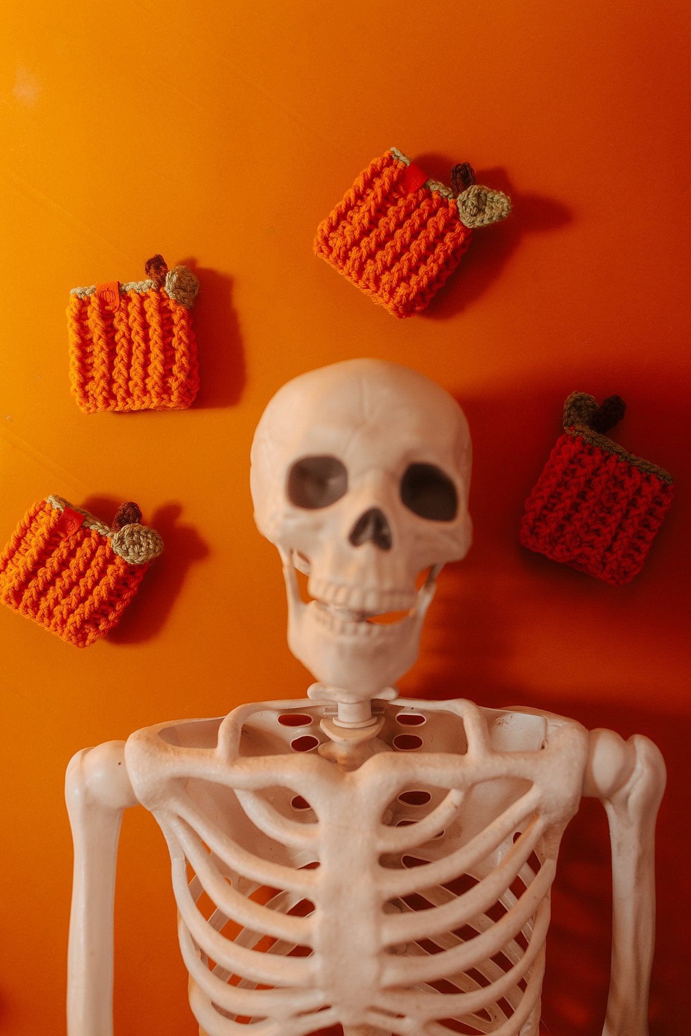 Pumpkin Cozie