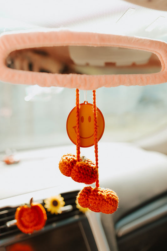 Pumpkin Car Accessory