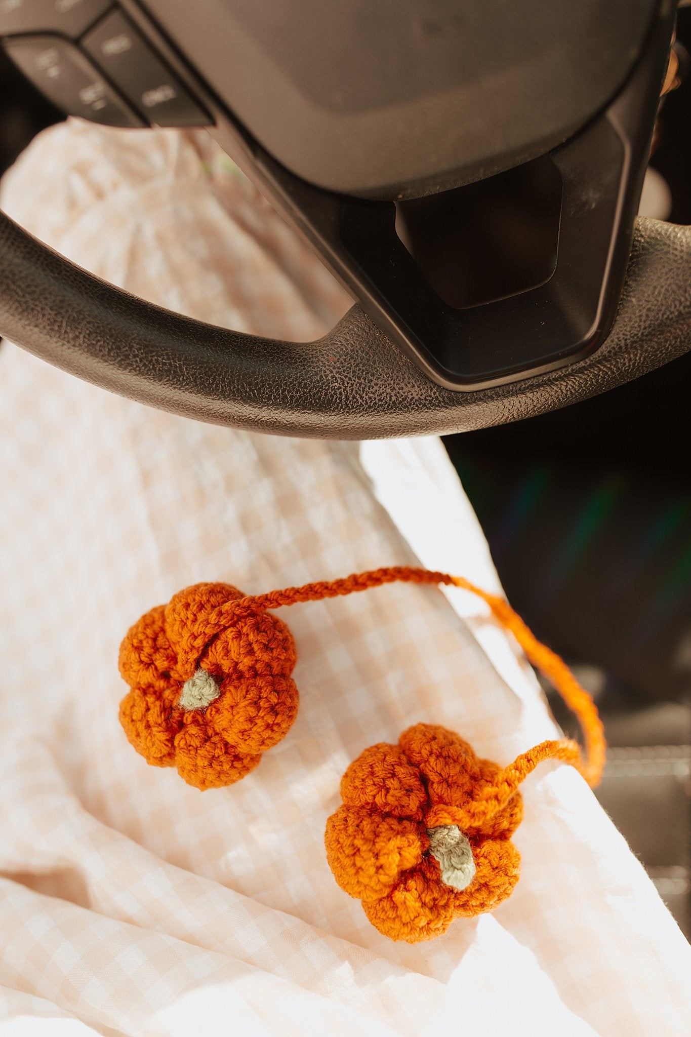 Pumpkin Car Accessory