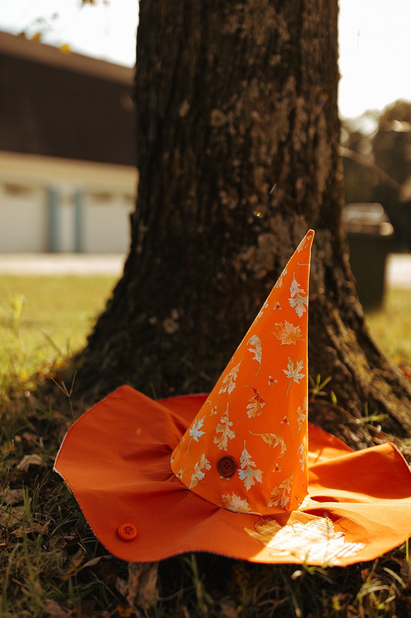 Witch Hat Autumn
