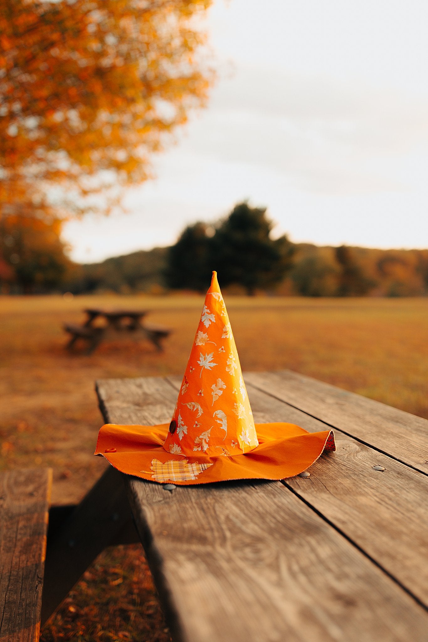 Witch Hat Autumn