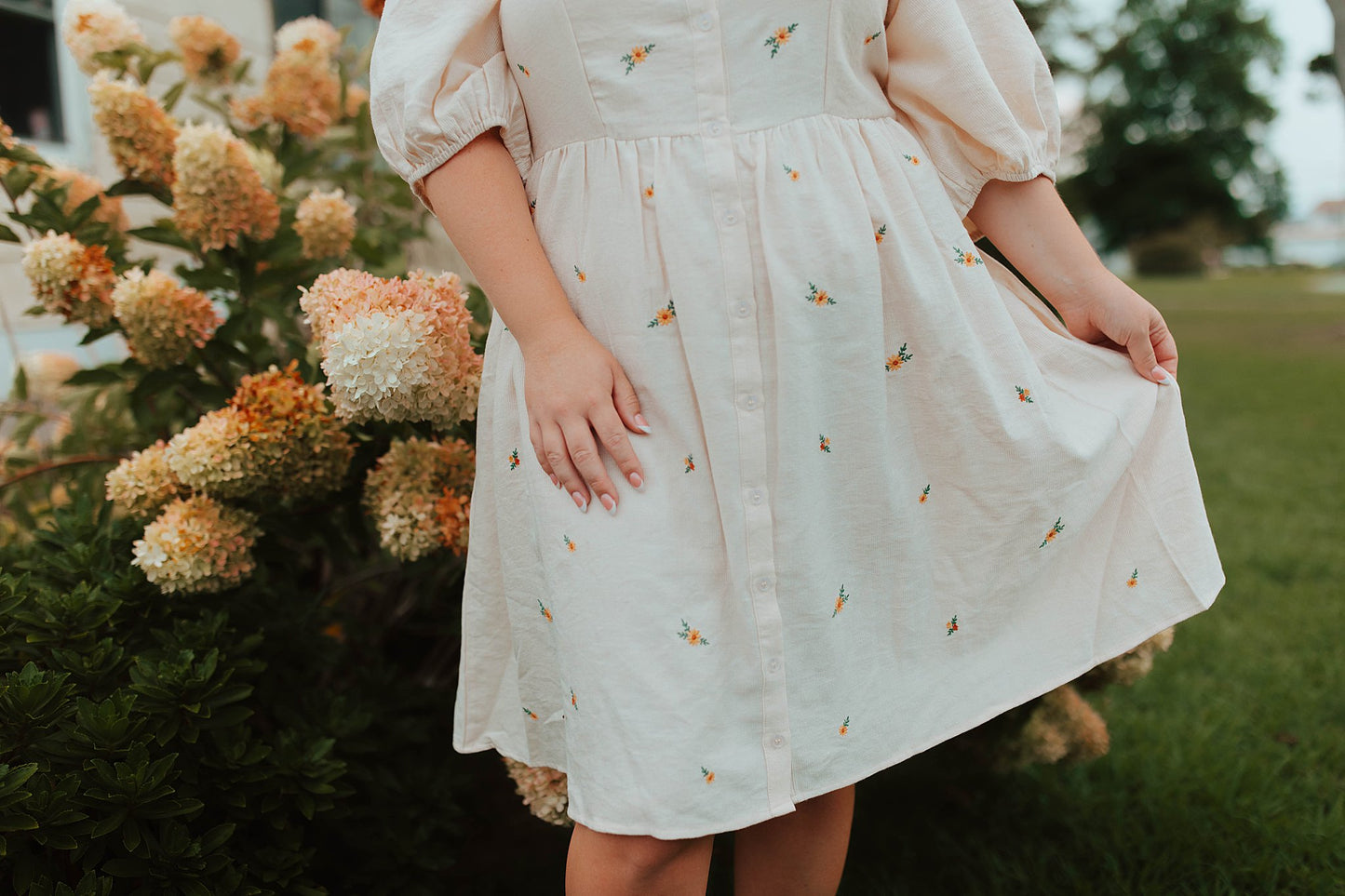 Dream a Little Dream Embroidered Dress