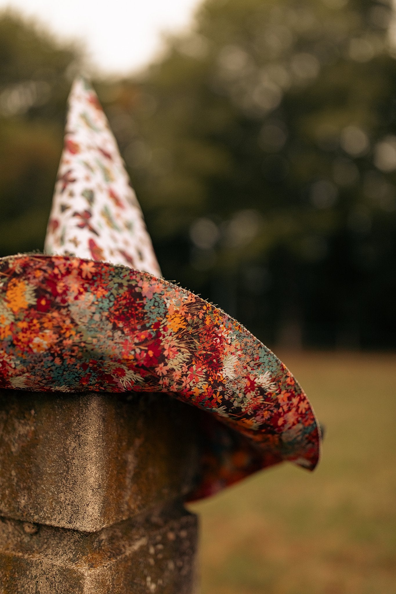 Witch Hat Butterfly