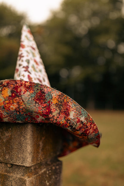 Witch Hat Butterfly