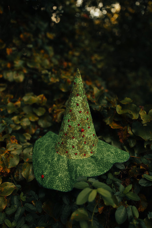 Witch Hat Lady Bug