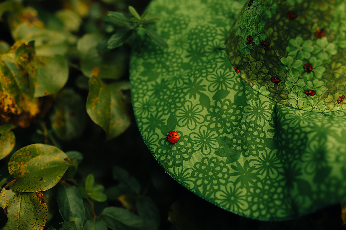 Witch Hat Lady Bug