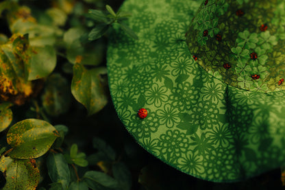 Witch Hat Lady Bug