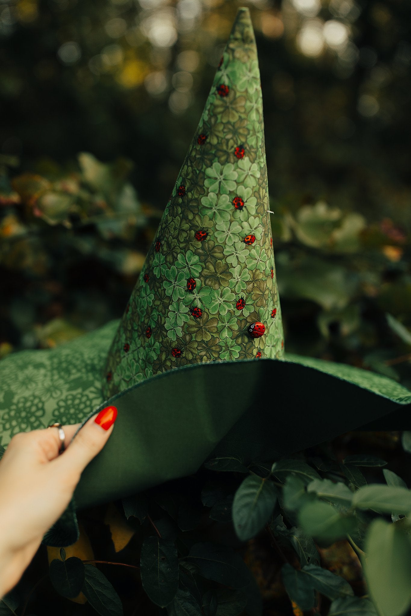 Witch Hat Lady Bug