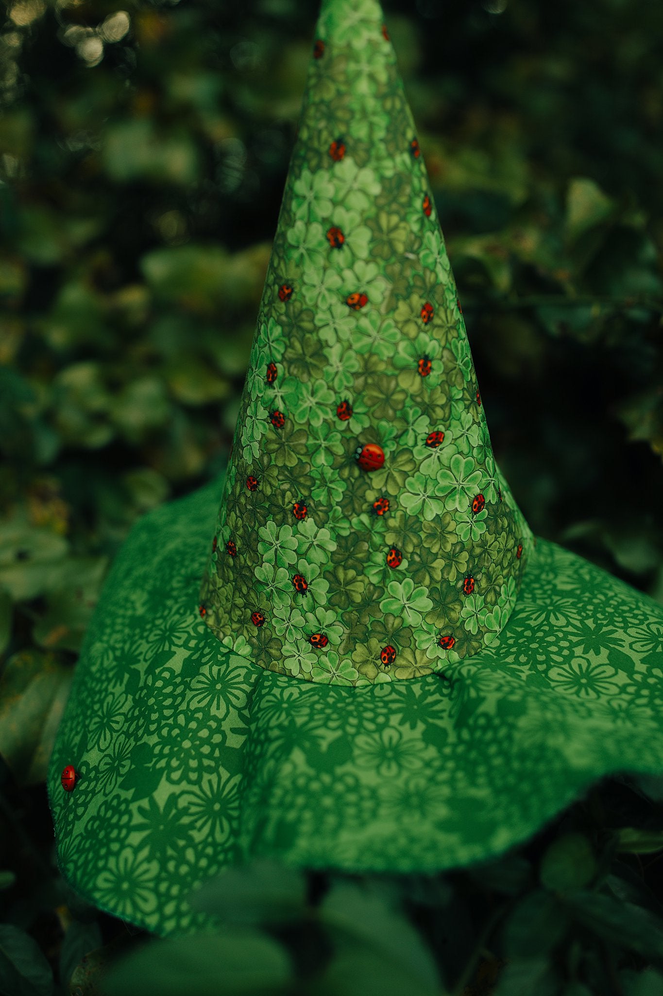 Witch Hat Lady Bug