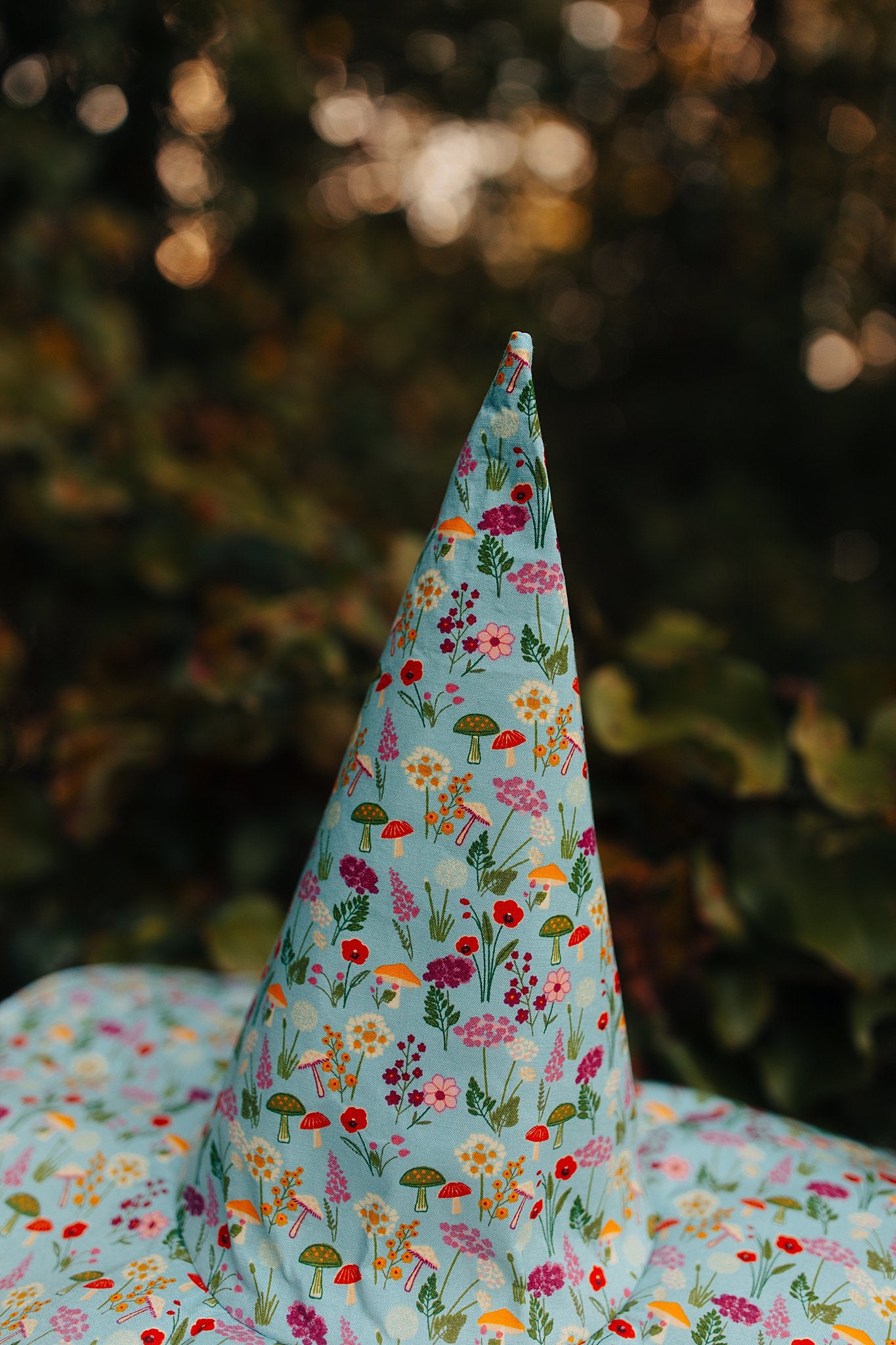 Witch Hat Mushroom