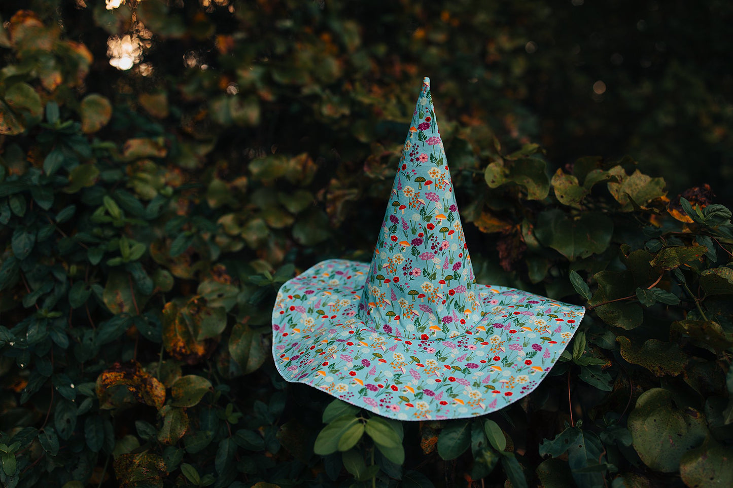Witch Hat Mushroom