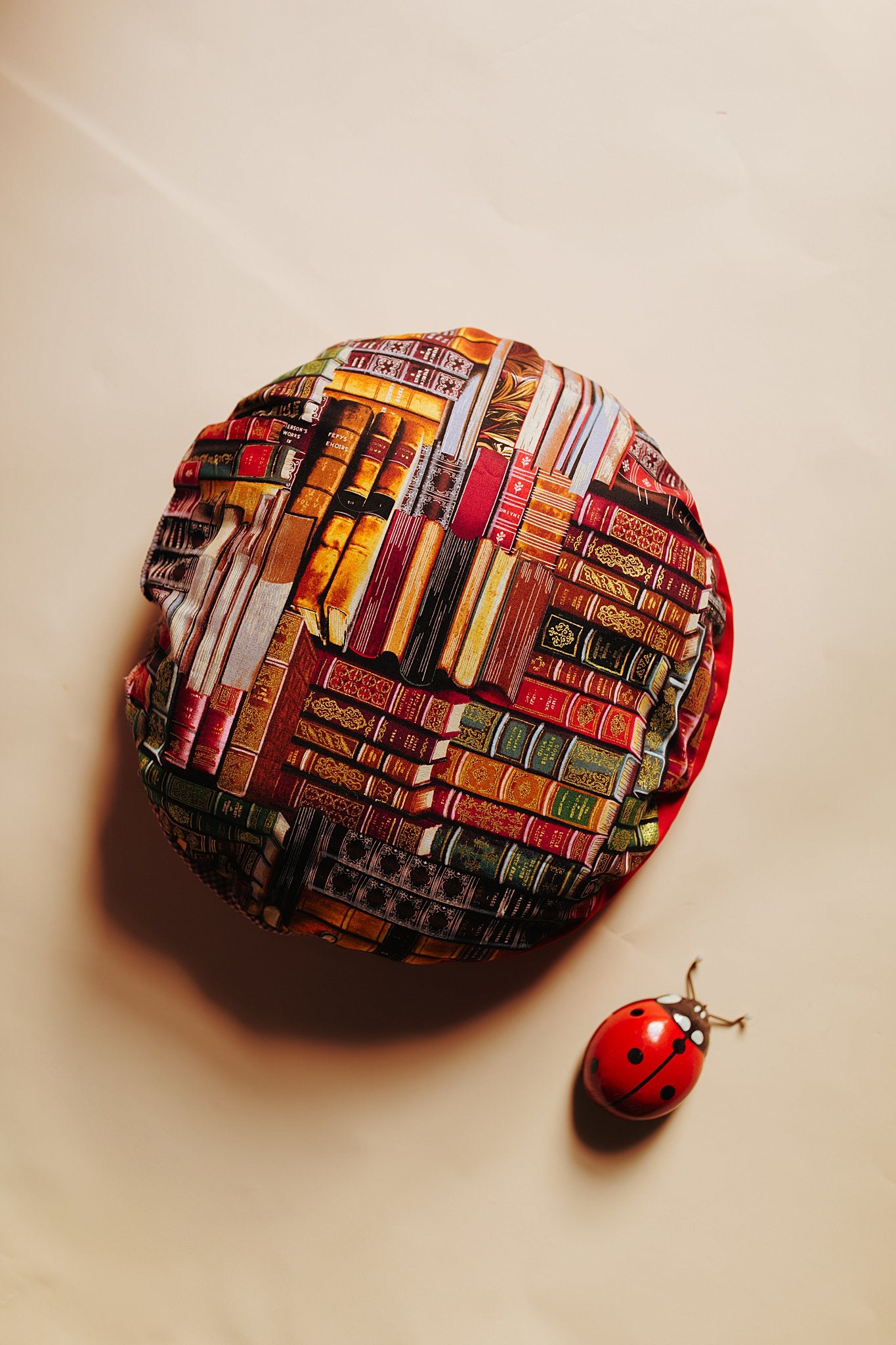 Book Bug Pillow - Double Sided