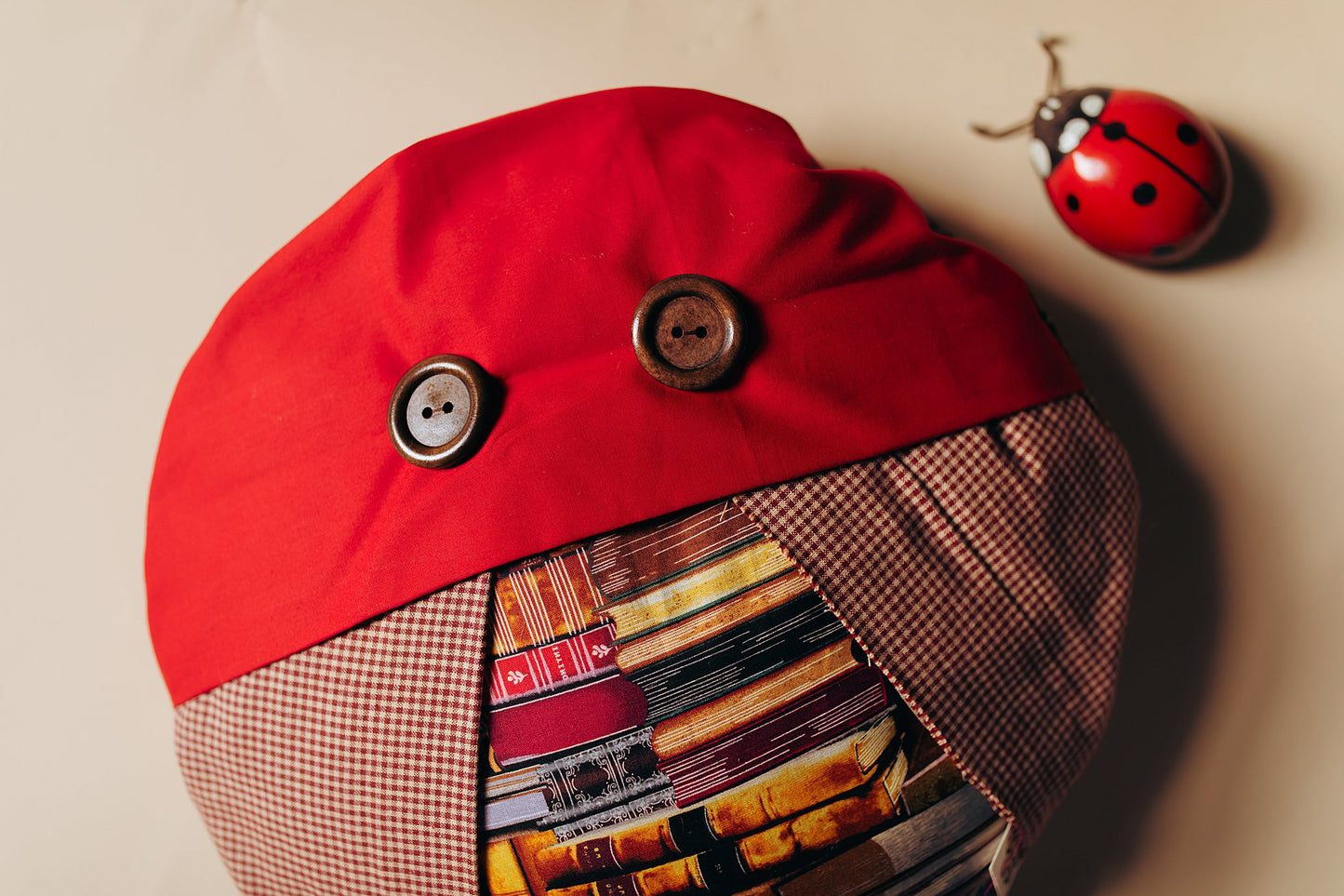 Book Bug Pillow - Double Sided