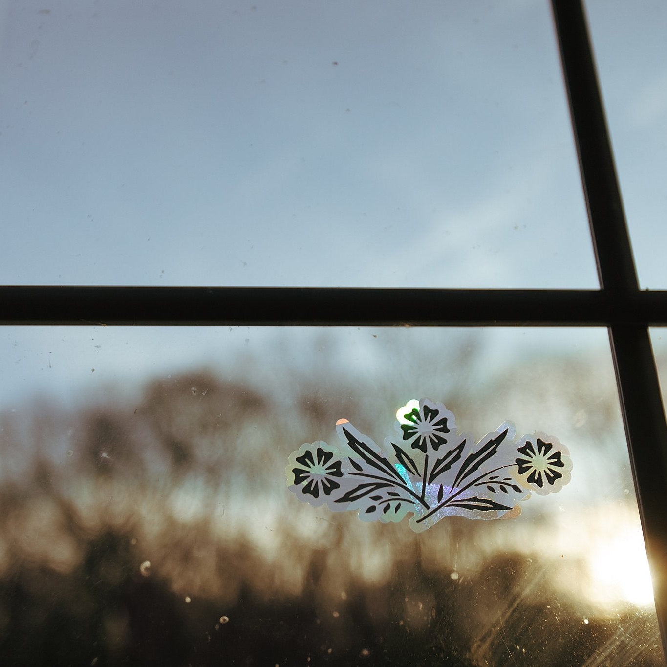 Cornflower Rainbow Making Suncatcher Sticker