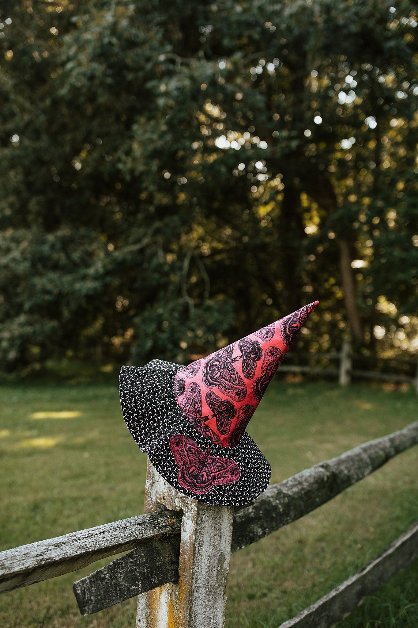 Witch Hat Moth Moon
