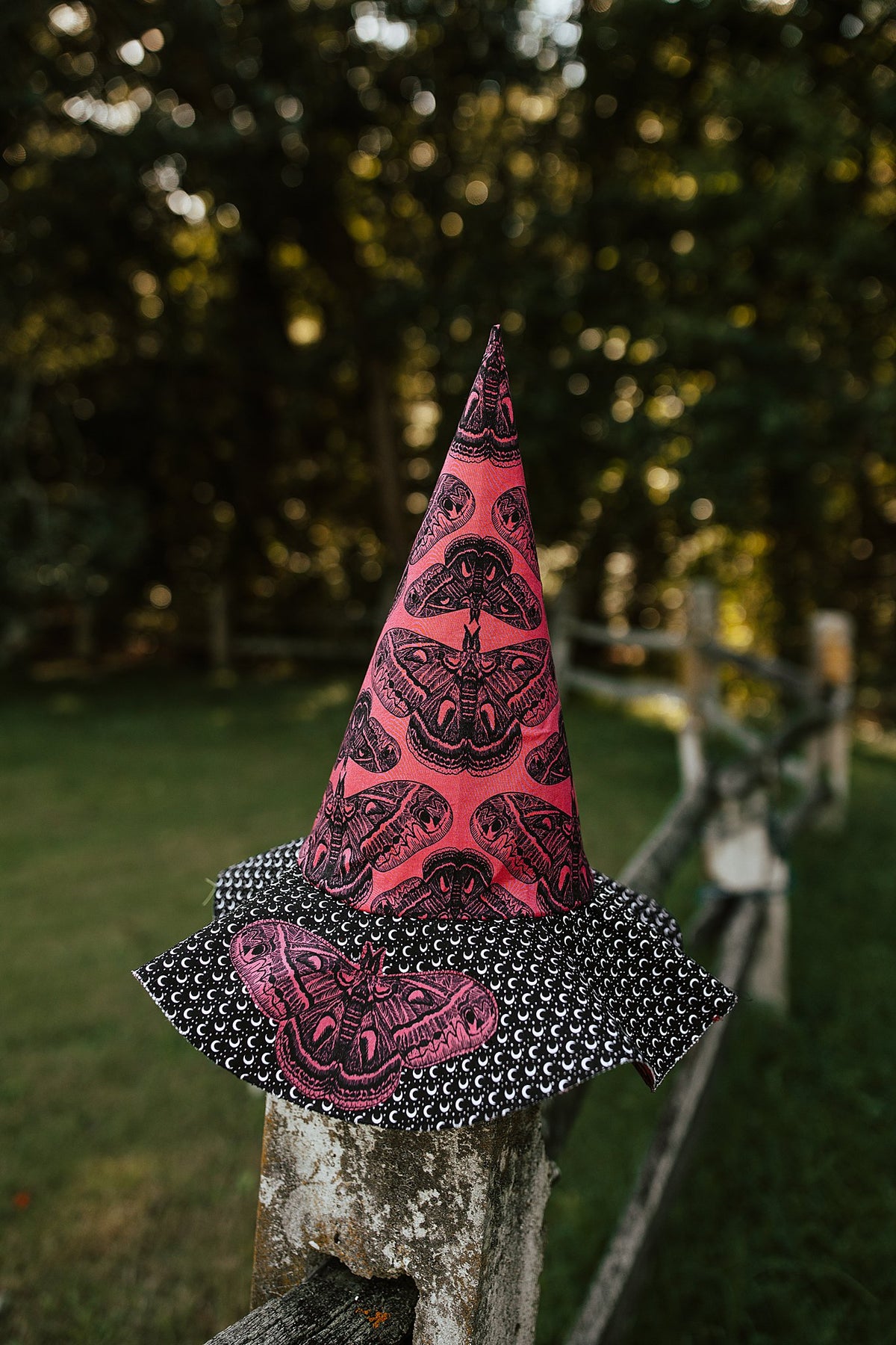 Witch Hat Moth Moon