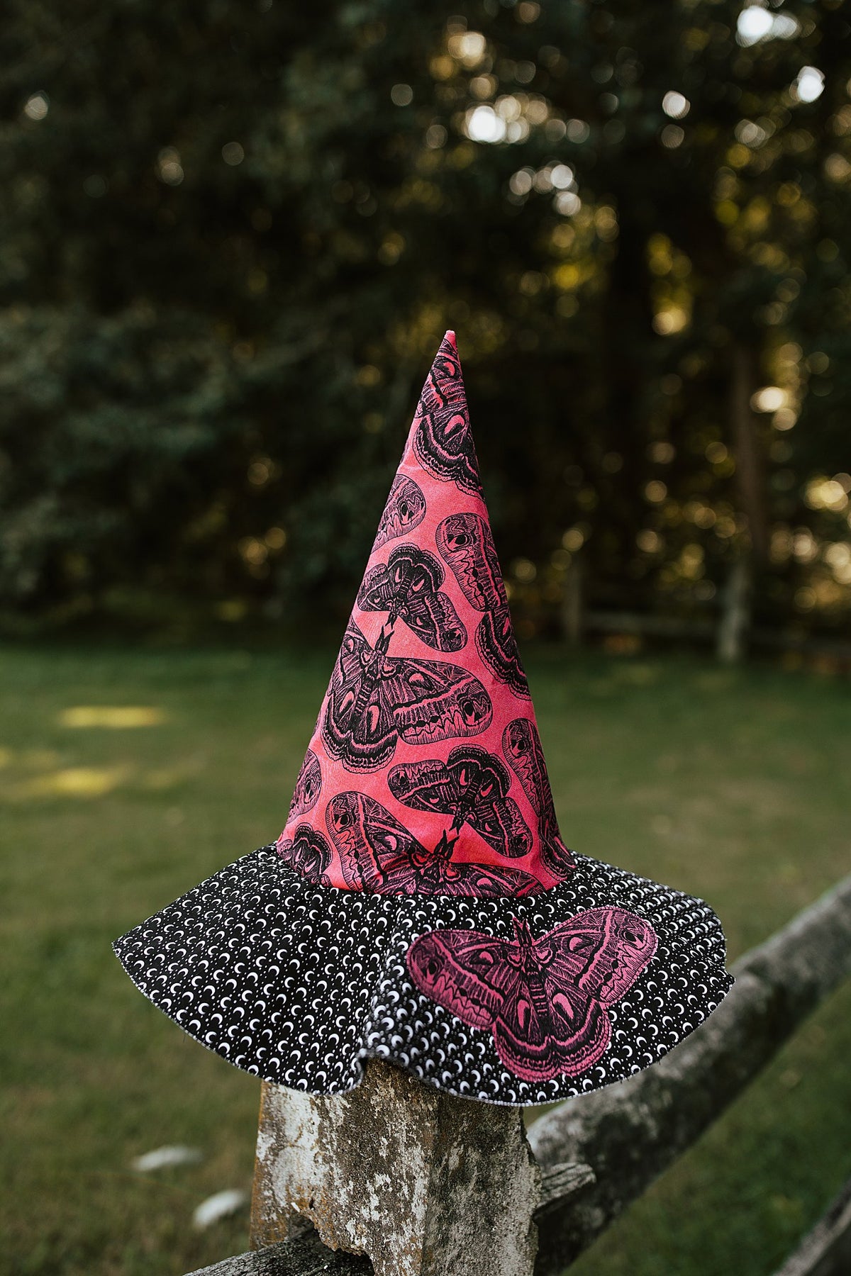 Witch Hat Moth Moon 2.0