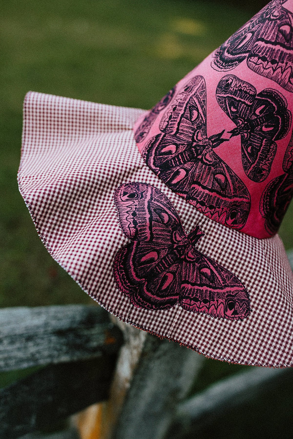 Witch Hat Moth