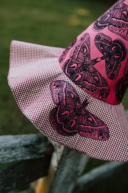 Witch Hat Moth