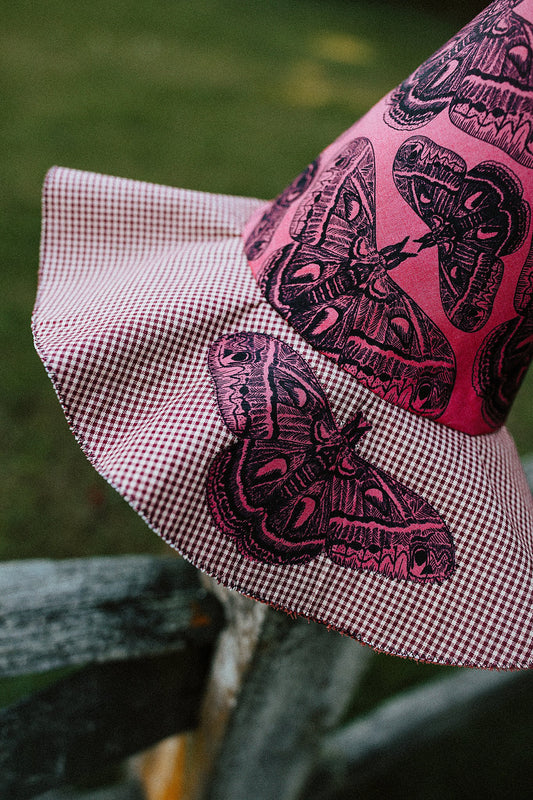 Witch Hat Moth