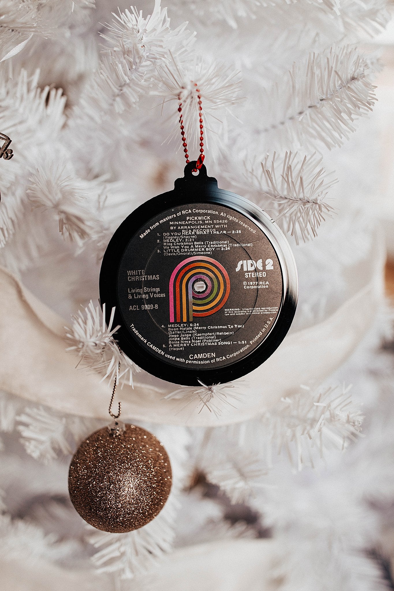 Vinyl Record Ornament (Set of 2)